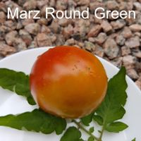 Marz Round Green